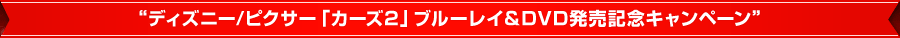 �ǥ����ˡ�/�ԥ������֥��������ץ֥롼�쥤&DVDȯ�䵭ǰ�����ڡ���